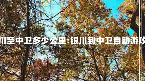 銀川至中衛(wèi)多少公里:銀川到中衛(wèi)自助游攻略