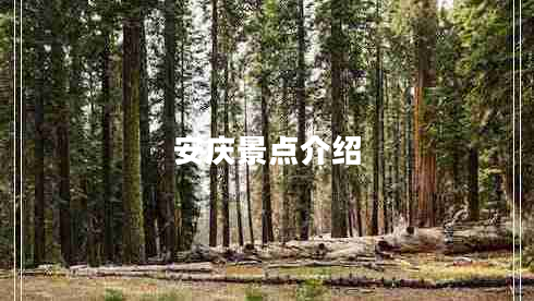 安慶景點(diǎn)介紹