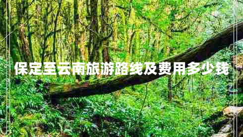 保定至云南旅游路線及費(fèi)用多少錢