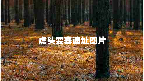 虎頭要塞遺址圖片 虎頭要塞遺址圖片