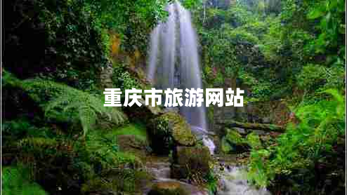 重慶市旅游網(wǎng)站