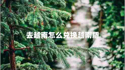 去越南怎么兌換越南盾