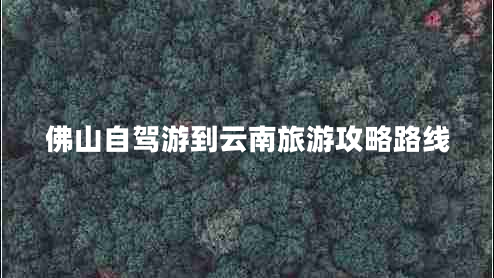 佛山自駕游到云南旅游攻略路線