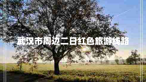 武漢市周邊二日紅色旅游線路