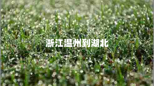 浙江溫州到湖北 浙江溫州到湖北