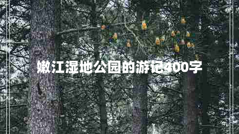 嫩江濕地公園的游記400字