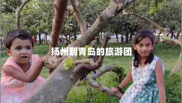 揚(yáng)州到青島的旅游團(tuán)