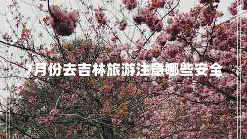 7月份去吉林旅游注意哪些安全