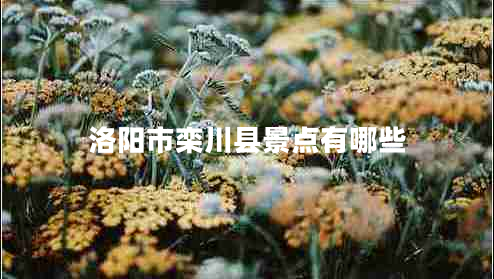 洛陽市欒川縣景點有哪些