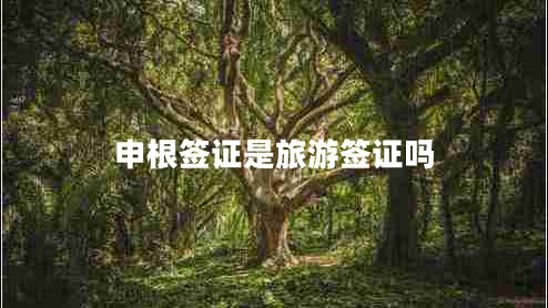 申根簽證是旅游簽證嗎