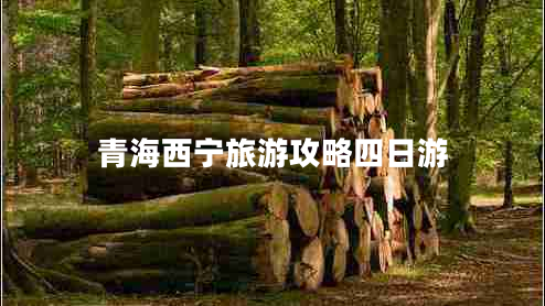 青海西寧旅游攻略四日游 青海西寧旅游攻略四日游