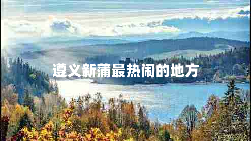 遵義新蒲最熱鬧的地方 遵義新蒲最熱鬧的地方