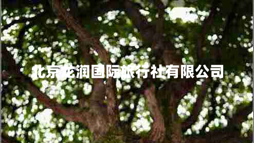 北京龍潤國際旅行社有限公司