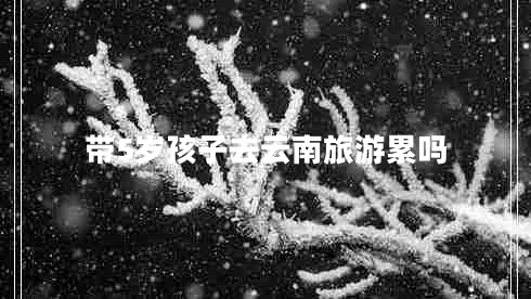 帶5歲孩子去云南旅游累嗎