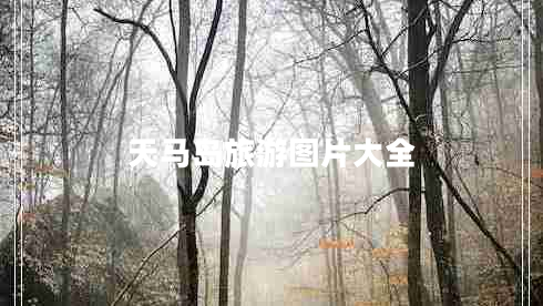 天馬島旅游圖片大全 天馬島旅游圖片大全