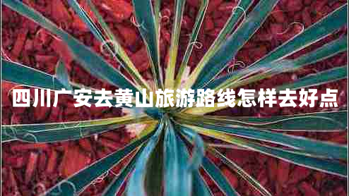 四川廣安去黃山旅游路線怎樣去好點(diǎn) 四川廣安去黃山旅游路線怎樣去好點(diǎn)