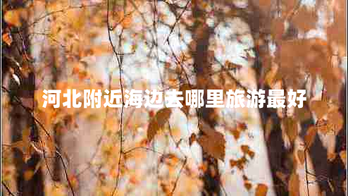 河北附近海邊去哪里旅游最好 河北附近海邊去哪里旅游最好