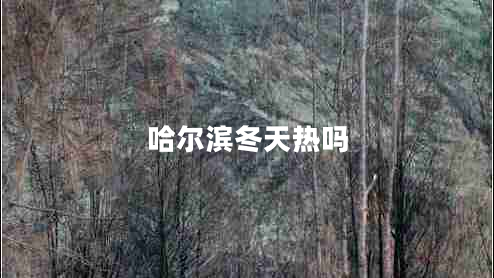 哈爾濱冬天熱嗎 哈爾濱冬天熱嗎