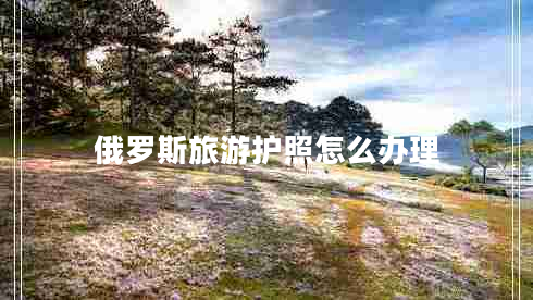 俄羅斯旅游護(hù)照怎么辦理 俄羅斯旅游護(hù)照怎么辦理