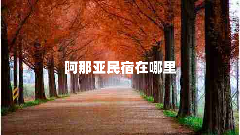 阿那亞民宿在哪里