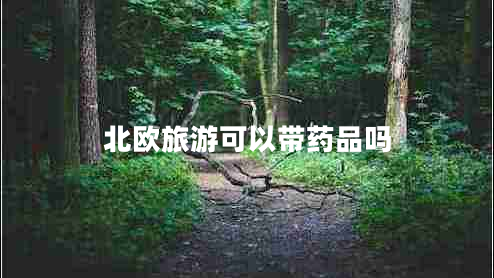 北歐旅游可以帶藥品嗎