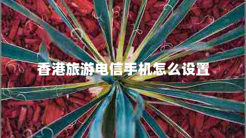 香港旅游電信手機怎么設(shè)置