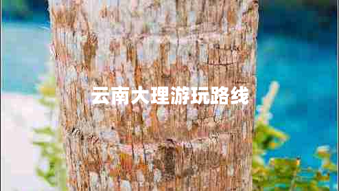 云南大理游玩路線