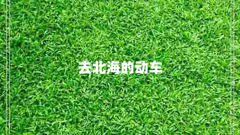 去北海的動車