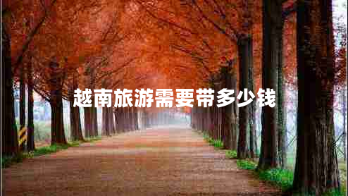 越南旅游需要帶多少錢 越南旅游需要帶多少錢