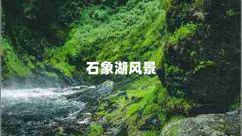 石象湖風(fēng)景