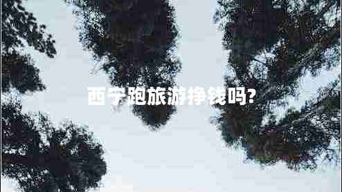西寧跑旅游掙錢嗎?