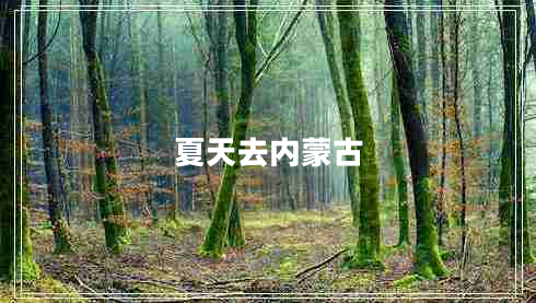 夏天去內(nèi)蒙古