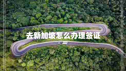 去新加坡怎么辦理簽證 去新加坡怎么辦理簽證