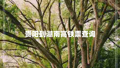 貴陽到湖南高鐵票查詢