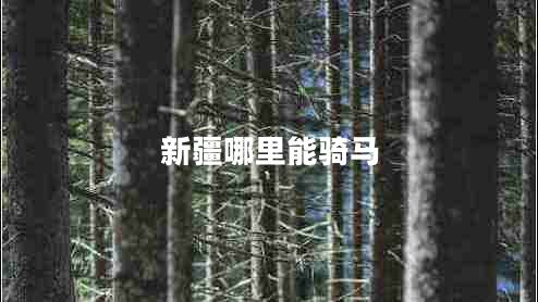 新疆哪里能騎馬