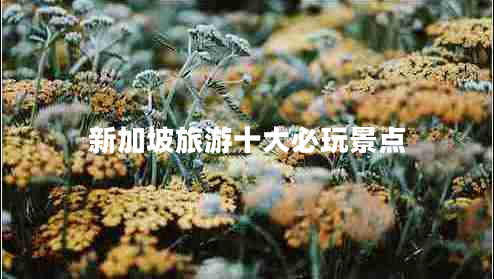 新加坡旅游十大必玩景點