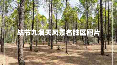 畢節(jié)九洞天風(fēng)景名勝區(qū)圖片