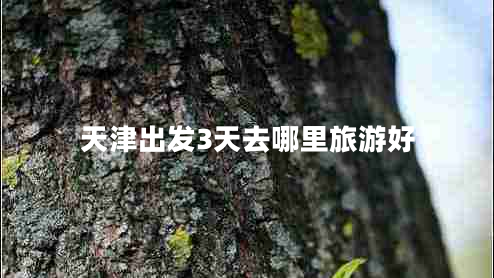 天津出發(fā)3天去哪里旅游好
