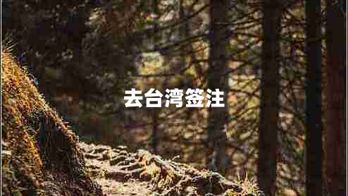 去臺灣簽注 去臺灣簽注