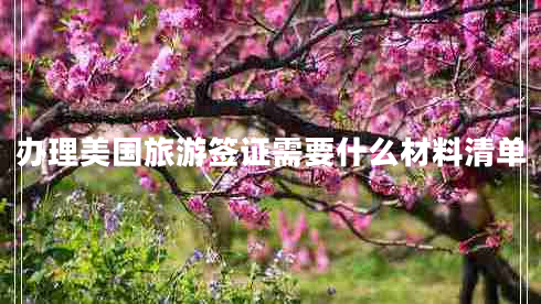 辦理美國旅游簽證需要什么材料清單