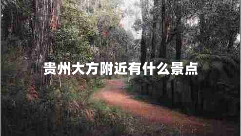 貴州大方附近有什么景點(diǎn) 貴州大方附近有什么景點(diǎn)