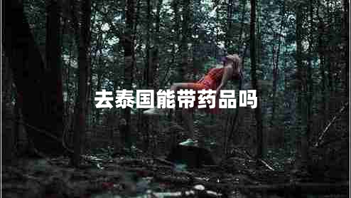 去泰國能帶藥品嗎