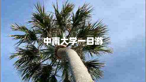 中南大學(xué)一日游