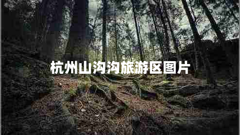 杭州山溝溝旅游區(qū)圖片