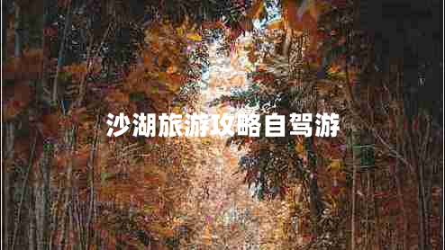 沙湖旅游攻略自駕游