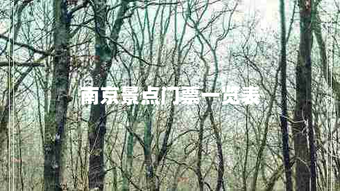 南京景點(diǎn)門(mén)票一覽表