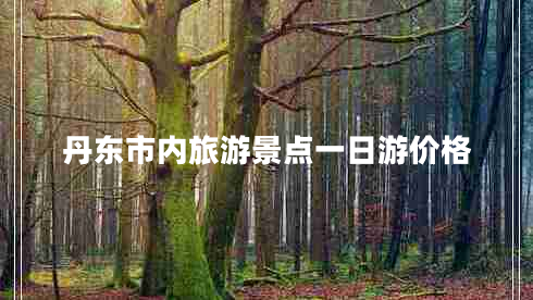 丹東市內(nèi)旅游景點(diǎn)一日游價(jià)格