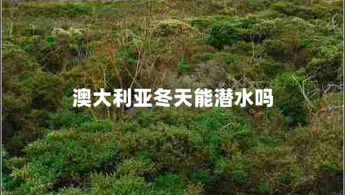 澳大利亞冬天能潛水嗎 澳大利亞冬天能潛水嗎