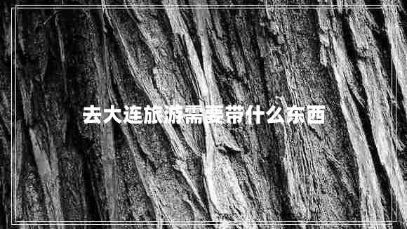 去大連旅游需要帶什么東西