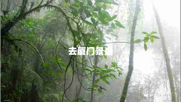去廈門景點(diǎn) 去廈門景點(diǎn)